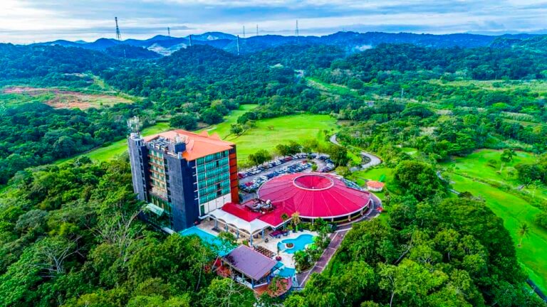 Summit-Rainforest-Banner-0-1